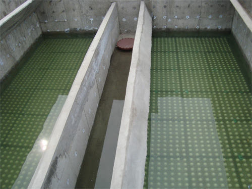 一級建造師考試復習重點(diǎn)：水池里的秘密