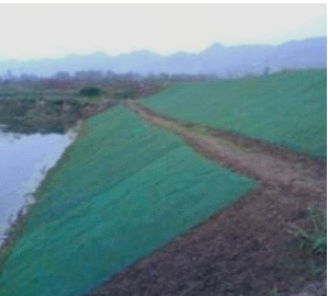 二級建造師公路實(shí)務(wù)移動(dòng)精講班--防護與支擋工程類(lèi)型