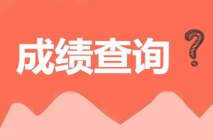 2017年安全工程師考試成績(jì)查詢(xún)