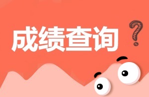 2017年安全工程師成績(jì)查詢(xún)入口