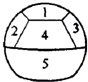 二級建造師考試市政實(shí)務(wù)知識點(diǎn):噴錨暗挖法的掘進(jìn)方式選擇