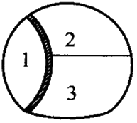 二級建造師考試市政實(shí)務(wù)知識點(diǎn):噴錨暗挖法的掘進(jìn)方式選擇