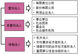 一級建造師法規知識點(diǎn)：法人制度