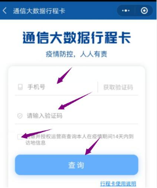 最后輸入自己的手機號碼，點(diǎn)擊查詢(xún)。